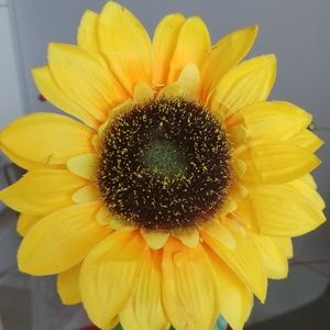 Meet your Posher, Enid